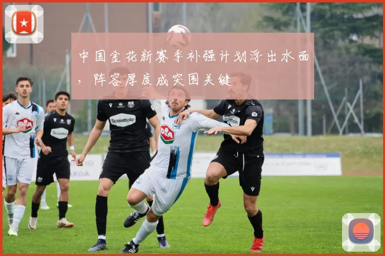中国金花新赛季补强计划浮出水面，阵容厚度成突围关键